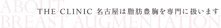 THE CLINIC 名古屋は脂肪豊胸を専門に扱います