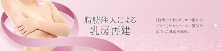 脂肪注入による乳房再建 「自然でやわらか、かつ温かなバスト」をモットーに、脂肪を活用した乳房再建