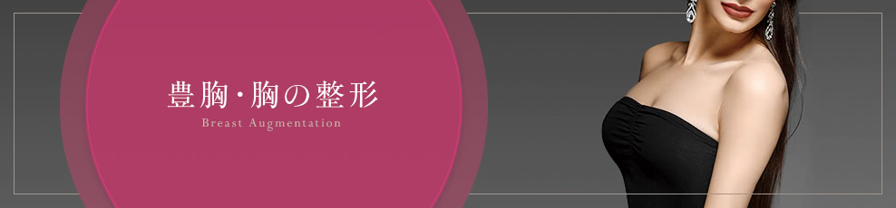 ザ・クリニック名古屋が提供する豊胸・胸の整形