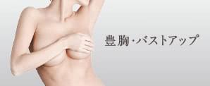 豊胸・バストアップ