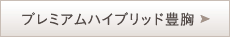 ハイブリッド豊胸